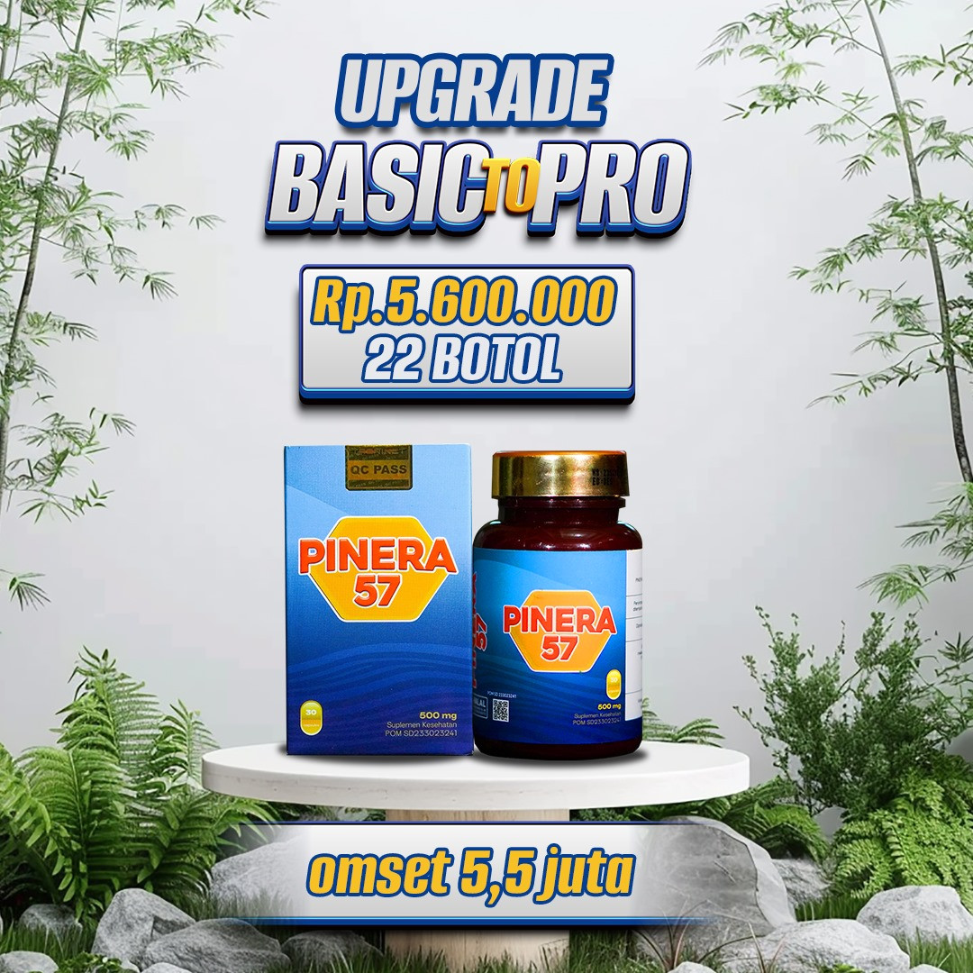 Upgrade Basic to Pro